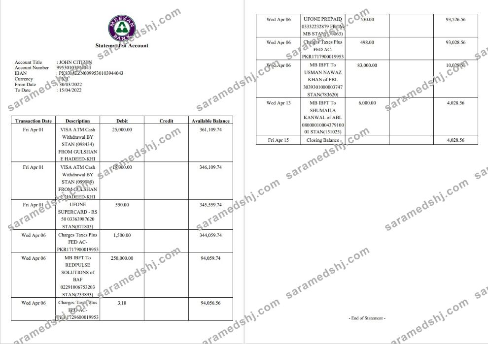 Pakistan Meezan bank statement 2 pages